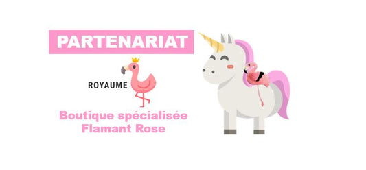 Royaume Flamant Rose : ta Boutique Flamant Rose !